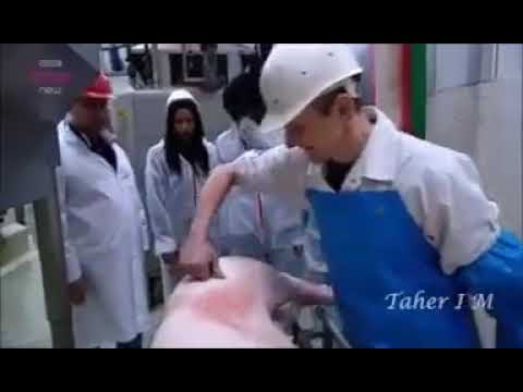 Video: Jak se vyrábí kartáče z kančích štětin?