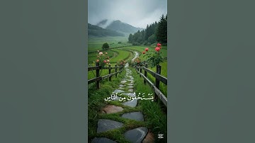 واستغفر الله ان الله كان غفورا رحيما |ياسر الدوسري |سورة النساء