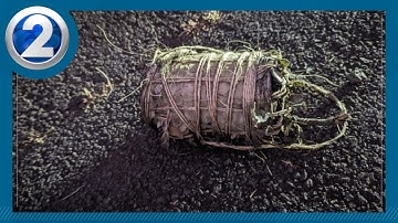 Convicted felon to serve 40 months behind bars for 2024 Maui IED incident