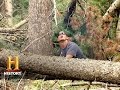 Understanding Characters and Themes in Logging