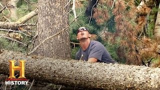 Ax Men: Meet the Zitterkopf Team | History