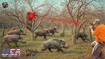 Texas Wild Boar Hunt When Nature Becomes A Battlefield - Crazy Farmer Chases Destructive Wild Hog