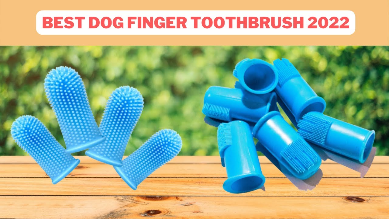 Dog Finger Toothbrush Best Dog Finger Toothbrush Reviews 2022 YouTube