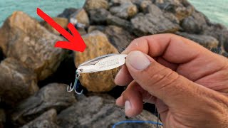 THREW This Spoon At The JETTY And CAUGHT EVERY FISH! **insane results**