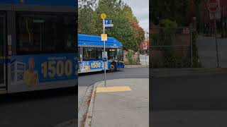 TransLink 2019 Newflyer XN40 (S19129) leaving Scottsdale Exchange on 310 LADNER