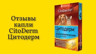 Капли CitoDerm Цитодерм дерматологические для кошек и собак весом 10кг 30мл шерстка растет мягкая