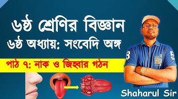 নাক ও জিহ্বার গঠন | সংবেদি অঙ্গ |৬ষ্ঠ শ্রেণির বিজ্ঞান ৬ষ্ঠ অধ্যায় | class 6 science chapter 6