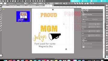 Using the Trace Feature in Silhouette Studio