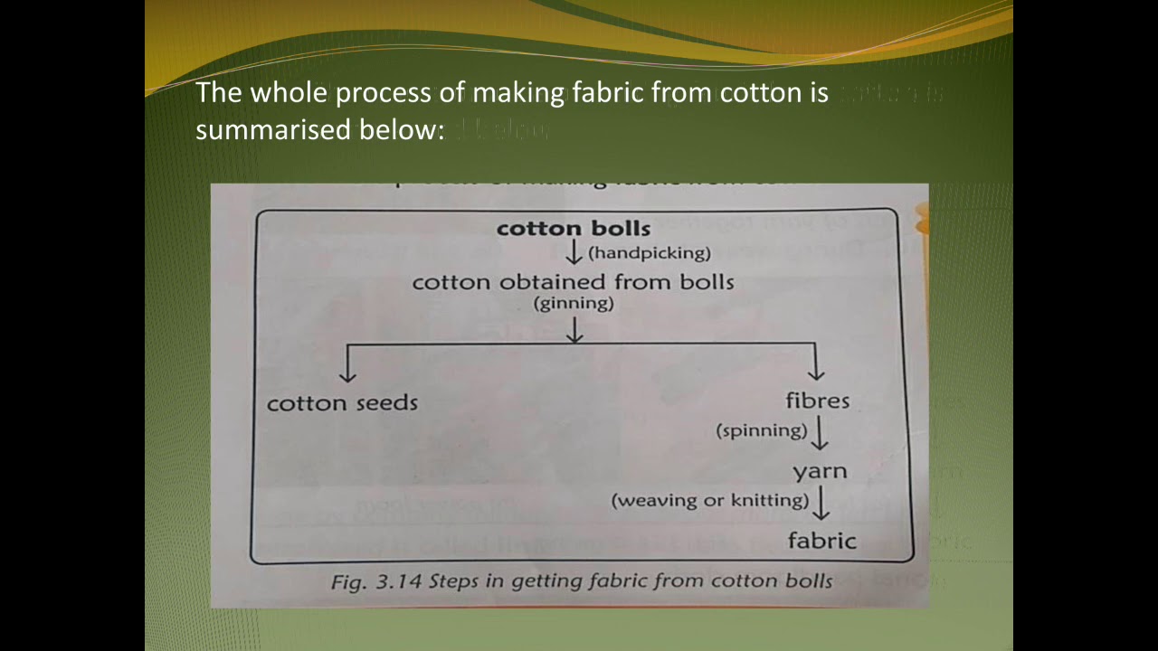 C.P. KOTAK ENGLISH MEDIUM STD.6 SCIENCE