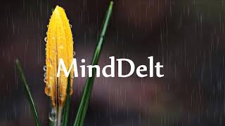 20 MINUTES Pure Rain Sounds (no music)  Gentle RAIN Ambiance For Sleep, Relax, Meditate, Study, Spa