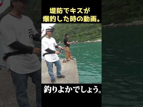 【投げ釣り】大物のキスを釣り上げるはたくん。  #shorts