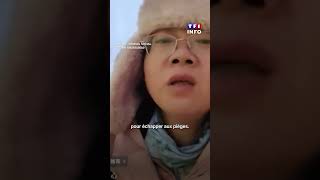 Piégés Dans Leverest, Des Touristes Sauvés In Extremis Tf1 Info