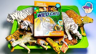 Wild Cats Big Cats Collection Tiger Lion Cheetah Jaguar Leopard Panther Serval Clouded Leopard screenshot 1