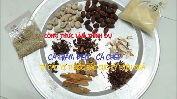 CÔNG THỨC LÀM THÍNH DỤ CÁ TRẮM ĐEN, CÁ CHÉP TỪ THUỐC BẮC, CÔNG THỨC LÀM MỒI CÂU CÁ; Lh - 0979009.118