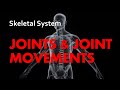 Understanding Joints and Movements