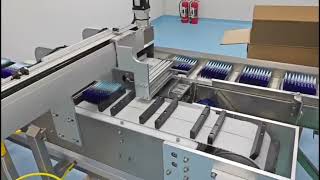 Inside the Factory: How Does the Multi-Lane Cartoner Actually Work