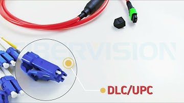 12 Cores MPO Breakout Cable | MPO to 6×DLC | High-Performance Fiber Assembly