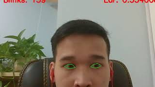 Eye blink detection demo