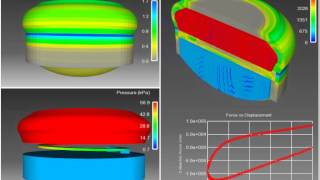 ADINA HYDROMOUNT FSI ANALYSIS