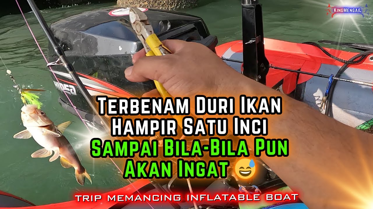 𝙂𝙖𝙨𝙖𝙠 𝙄𝙠𝙖𝙣 𝙅𝙖𝙘𝙠𝙚𝙩 | 𝙏𝙚𝙧𝙩𝙪𝙨𝙪𝙠 𝘿𝙪𝙧𝙞 𝘽𝙚𝙧𝙗𝙞𝙨𝙖 𝙃𝙖𝙢𝙥𝙞𝙧 𝙎𝙖𝙩𝙪 𝙄𝙣𝙘𝙞