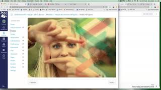 Larson Math - Canvas Geometry - Module 8.05 explained Profile