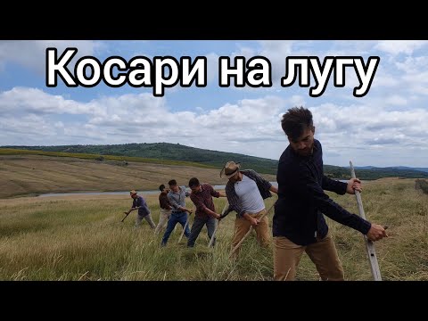 Видео: Можете ли вы течь на лугу?