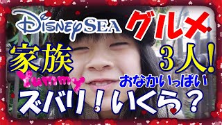 東京ディズニーシー ディズニーシーグルメ21年親子三人食べ歩いたらいくらかかる 2万円以下に抑えてみました グルメ食べ歩き 21 ディズニーシー グルメ 21 パークフード Youtube 東京ディズニーシー ディズニーシーグルメ21年親子三人食べ歩いたらいくらかかる 2万円以下に抑えてみました グルメ食べ歩き 21 ディズニーシー グルメ 21 パークフード Youtube