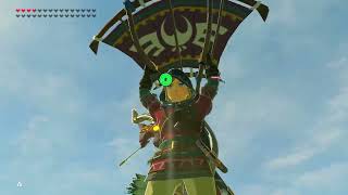 Botw advanced combat clip