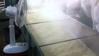 三河みりん 愛桜 仕込み 本仕込み