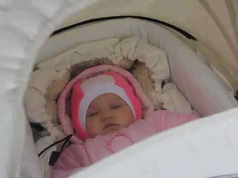 Видео от покупателя Reindeer Style Leather