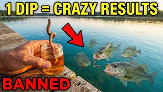 Dip Your Bait in This Once and Fish Will Track It Like Bloodhounds — BANNED for Being Too Effective!