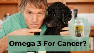 Can Omega 3 Help Your Dog or Cat with Cancer?