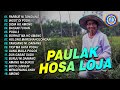 Lagu Batak - Paulak Hosa Loja || FULL ALBUM BATAK || MP3 LAGU BATAK