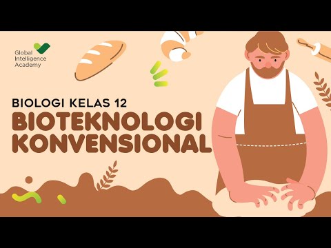 Video: Senjata konvensional modern: klasifikasi, karakteristik umum, faktor perusak