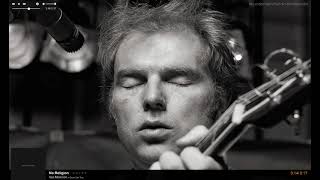 Van Morrison - No Religion (w/Lyrics)