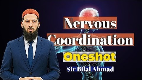 Nervous Coordination in Oneshot | Sir Bilal Ahmad | MDCAT/NUMS Biology Syllabus 2025