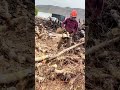 Chainsaw Firewood #firewood