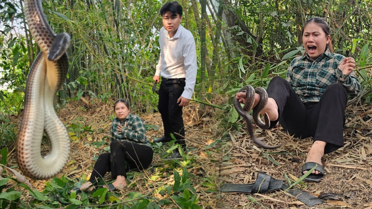 19-летняя бездомная девушка - Рубка бамбука для изготовления кухни - Ужас встречи со змеями