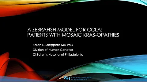Sarah Sheppard: Zebrafish model of CCLA