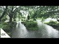 【4K】Tamagawa Josui Walk (7) - From Tamagawa Josui Station to Haijima Station in the rain - Tokyo