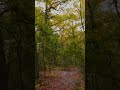 Most relaxing ASMR = Rain Walk