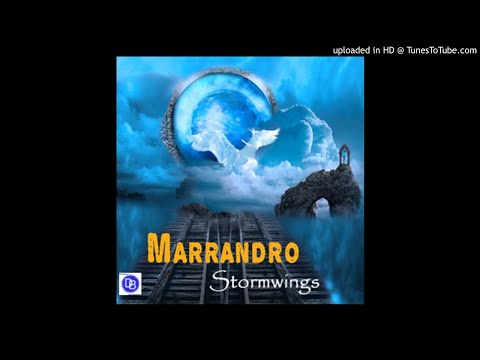 Interview Marrandro Delfsblauw 13 Januari 2020 zu den Songs "Stormwings" "Sturmflügel"