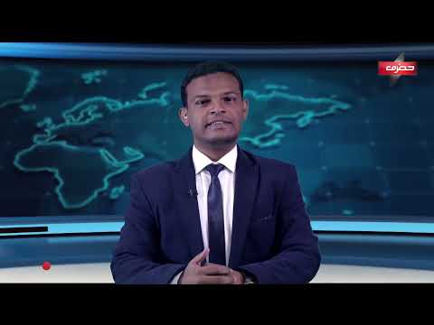 نشرة الأخبار