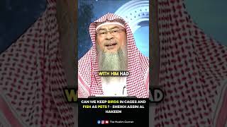 আমরা কি পাখিদের খাঁচায় এবং মাছকে পোষা প্রাণী হিসাবে রাখতে পারি? - শেখ আসিম আল হাকিম #assimalhakeem #islamicshorts