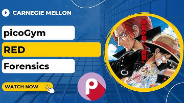 picoGym (picoCTF) Exercise: RED