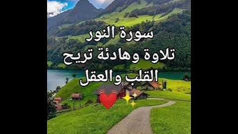 سورة.النور. تلاوة جميلة: قارئ شريف مصطفى