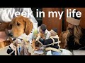 Week in my life vlog: nyc day to day &amp; upstate New York with friends