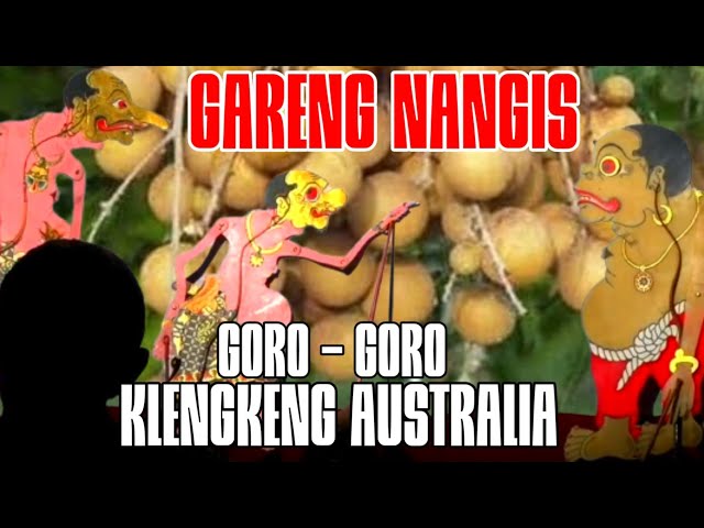 Gareng nangis goro-goro kelengkeng australia, Bagong ancen koclok tenan class=