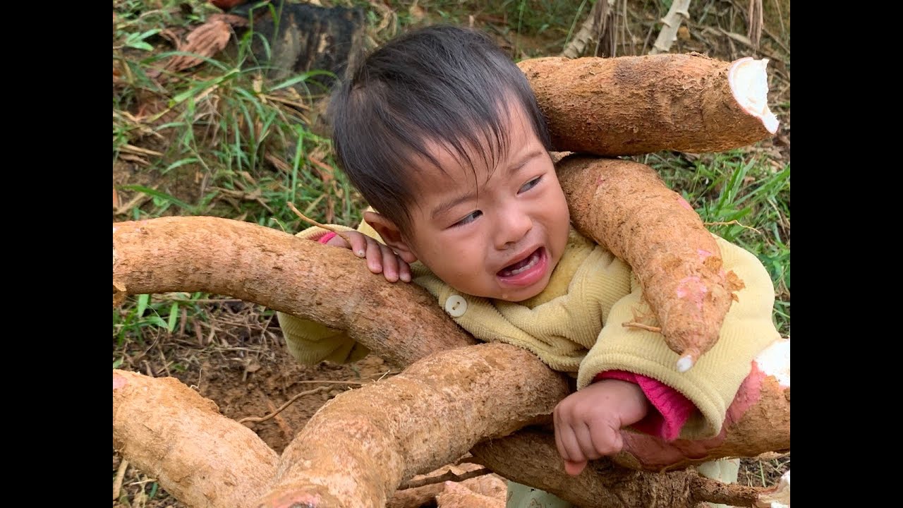 Today my mother and I will go to the forest to get cassava to bring ...