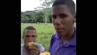 Video-Miniaturansicht von „Con Mi Primo Welinton Quiw ( Comiendonos Un Manguito )“